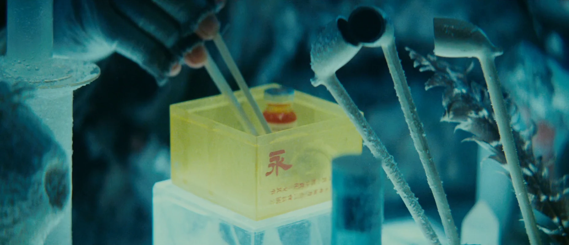 Slide Image